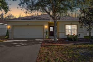 5850 Sweet William Terrace, Land O' Lakes, FL 34639, Sold 02/23/23