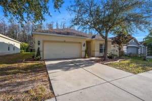 5850 Sweet William Terrace, Land O' Lakes, FL 34639, Sold 02/23/23