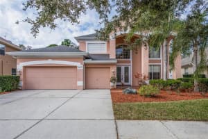 11657 RENAISSANCE VIEW COURT, TAMPA, FL 33626 Sold 03/31/23