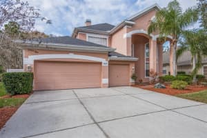 11657 RENAISSANCE VIEW COURT, TAMPA, FL 33626 Sold 03/31/23