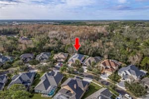 11657 RENAISSANCE VIEW COURT, TAMPA, FL 33626 Sold 03/31/23