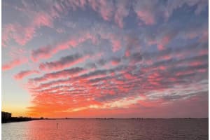 4830 OSPREY DRIVE, ST PETERSBURG, FL 33711 Sold 03/28/23