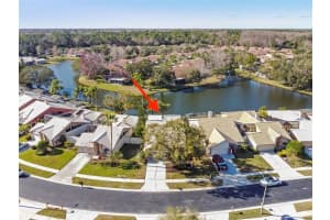 5539 GREYSTON STREET, PALM HARBOR, FL 34685 Sold 04/10/23