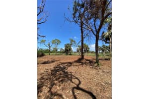 45 LONG MEADOW PLACE, ROTONDA WEST, FL 33947 - MLS#MFRU8188759
