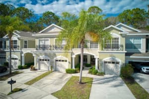 14243 Waterville Cir, Tampa, FL 33626, Sold 03/09/23