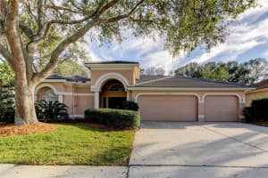 1318 KINGS WAY LANE, TARPON SPRINGS, FL 34688 Sold 05/01/23