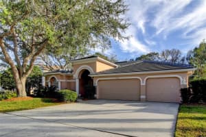 1318 KINGS WAY LANE, TARPON SPRINGS, FL 34688 Sold 05/01/23