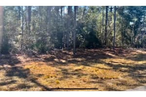 9719 DELTONA BOULEVARD, CITRUS SPRINGS, FL 34434 - MLS#MFRU8189134