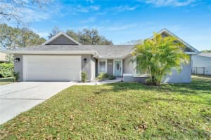 15107 LAKE HOLLY PLACE, TAMPA, FL 33625 Sold 04/04/23