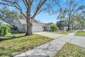 15107 LAKE HOLLY PLACE, TAMPA, FL 33625 Sold 04/04/23