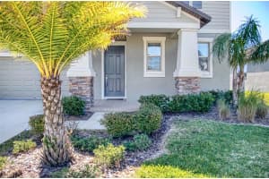 10627 BAHAMA WOODSTAR COURT, RIVERVIEW, FL 33579 Sold 03/29/23