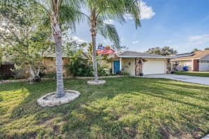 3134 Carlos Dr, Dunedin, FL 34698, Sold 03/16/23