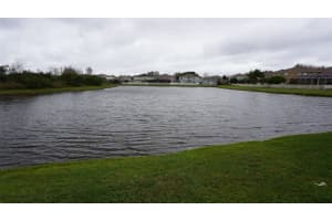 19558 TIMBERBLUFF DRIVE, LAND O LAKES, FL 34638 Sold 06/16/23