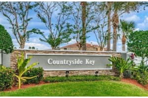 242 COUNTRYSIDE KEY BOULEVARD, OLDSMAR, FL 34677 Sold 03/23/23