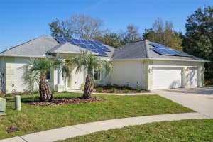 15593 RENE COURT, BROOKSVILLE, FL 34604 Sold 04/24/23