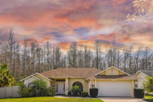 8520 CYPRESS LAKES BOULEVARD, NEW PORT RICHEY, FL 34653 Sold 03/27/23