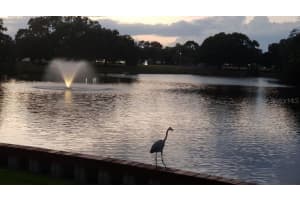 11224 82 Ave #303 Seminole, FL 33772 Sold 05/01/23