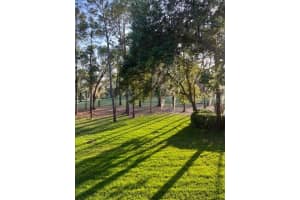 36750 US HIGHWAY 19 N #9203, PALM HARBOR, FL 34684 Sold 09/30/24