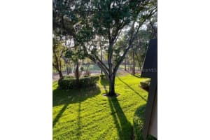 36750 US HIGHWAY 19 N #9203, PALM HARBOR, FL 34684 Sold 09/30/24