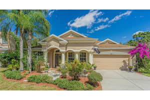 10730 Ribbon Fern Way, Land O' Lakes, FL 34638, Sold 05/08/23