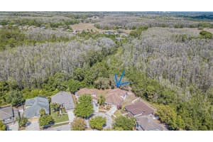 10730 Ribbon Fern Way, Land O' Lakes, FL 34638, Sold 05/08/23