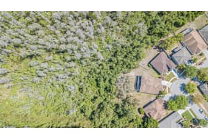 10730 Ribbon Fern Way, Land O' Lakes, FL 34638, Sold 05/08/23