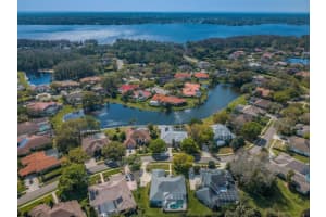 3967 ARLINGTON DRIVE, PALM HARBOR, FL 34685 Sold 04/29/23