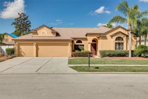 10807 RAIN LILLY PASS, LAND O LAKES, FL 34638 Sold 05/10/23