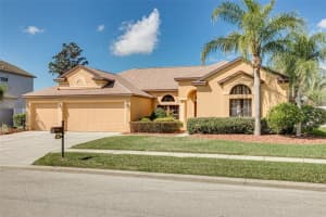 10807 RAIN LILLY PASS, LAND O LAKES, FL 34638 Sold 05/10/23