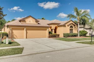 10807 RAIN LILLY PASS, LAND O LAKES, FL 34638 Sold 05/10/23