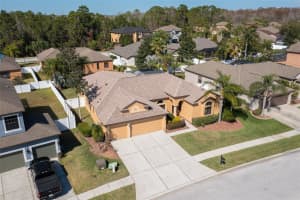 10807 RAIN LILLY PASS, LAND O LAKES, FL 34638 Sold 05/10/23