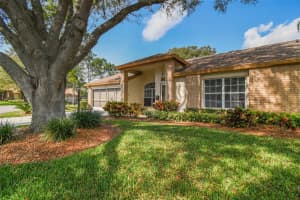 9923 BROOKDALE DRIVE, NEW PORT RICHEY, FL 34655 Sold 04/04/23