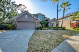 11602 RENAISSANCE VIEW COURT, TAMPA, FL 33626 Sold 05/09/23