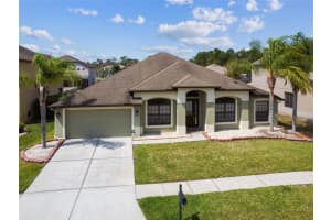 10741 RAIN LILLY PASS, LAND O LAKES, FL 34638 Sold 05/30/23