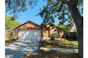 6206 VENEZIA PLACE, RIVERVIEW, FL 33578 Sold 04/18/23