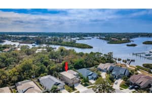 1265 WINDY BAY SHOAL, TARPON SPRINGS, FL 34689 Sold 06/07/23