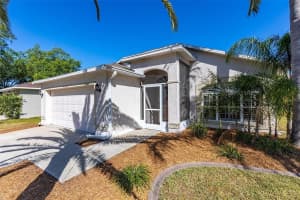 27319 Breakers Dr, Wesley Chapel, FL 33544, Sold 05/26/23
