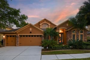 15052 AZRA DRIVE, ODESSA, FL 33556 Sold 08/18/23