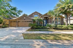 15052 AZRA DRIVE, ODESSA, FL 33556 Sold 08/18/23