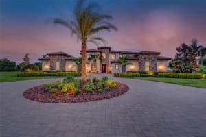 17302 BALLMONT PARK DRIVE, ODESSA, FL 33556 Sold 06/15/23
