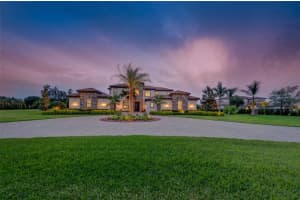 17302 BALLMONT PARK DRIVE, ODESSA, FL 33556 Sold 06/15/23