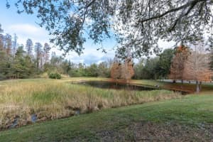 10420 WESTPARK PRESERVE BOULEVARD, TAMPA, FL 33625 Sold 07/28/23