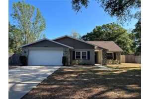 23039 Bellflower Pl, Land O' Lakes, FL 34639, Sold 04/28/23