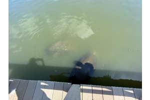 19029 US HIGHWAY 19 N #9-507, CLEARWATER, FL 33764 Sold 05/24/23