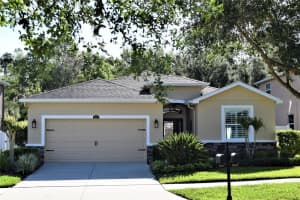 3041 CALVANO DRIVE, LAND O LAKES, FL 34639 Sold 05/30/23