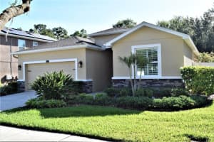 3041 CALVANO DRIVE, LAND O LAKES, FL 34639 Sold 05/30/23