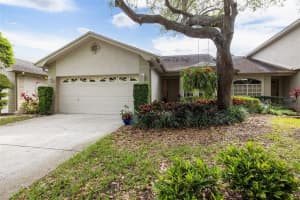 3075 BROOKFIELD LANE, CLEARWATER, FL 33761 Sold 05/12/23