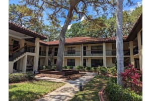 104 HAMMOCK PINE BOULEVARD, CLEARWATER, FL 33761 Sold 08/15/23