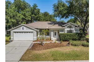 15107 LAUREL COVE CIRCLE, ODESSA, FL 33556 Sold 06/20/23