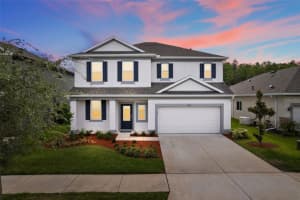 2783 SATILLA LOOP, ODESSA, FL 33556 Sold 07/21/23